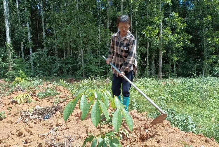 1701915154099087246.jpg 1701915154099087246.jpg