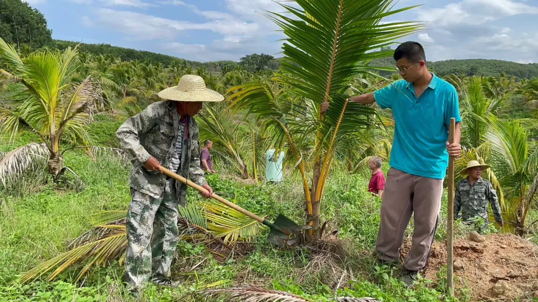 1726058364616024065.jpg 1726058364616024065.jpg