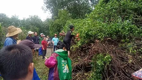 1726059132737052127.jpg 1726059132737052127.jpg