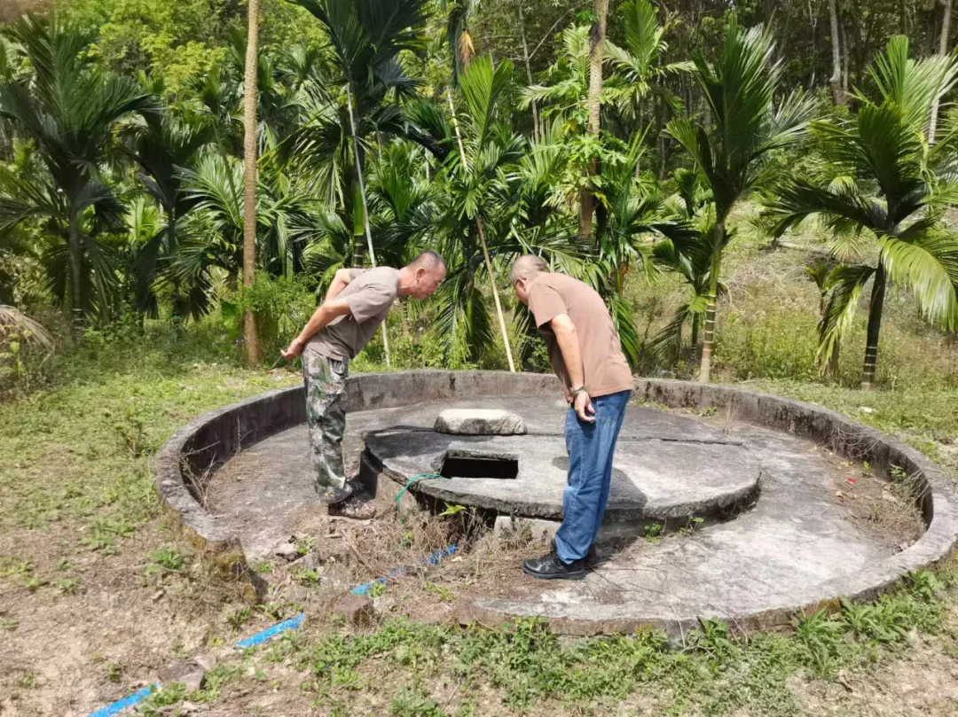 1726059371954005357.jpg 1726059371954005357.jpg