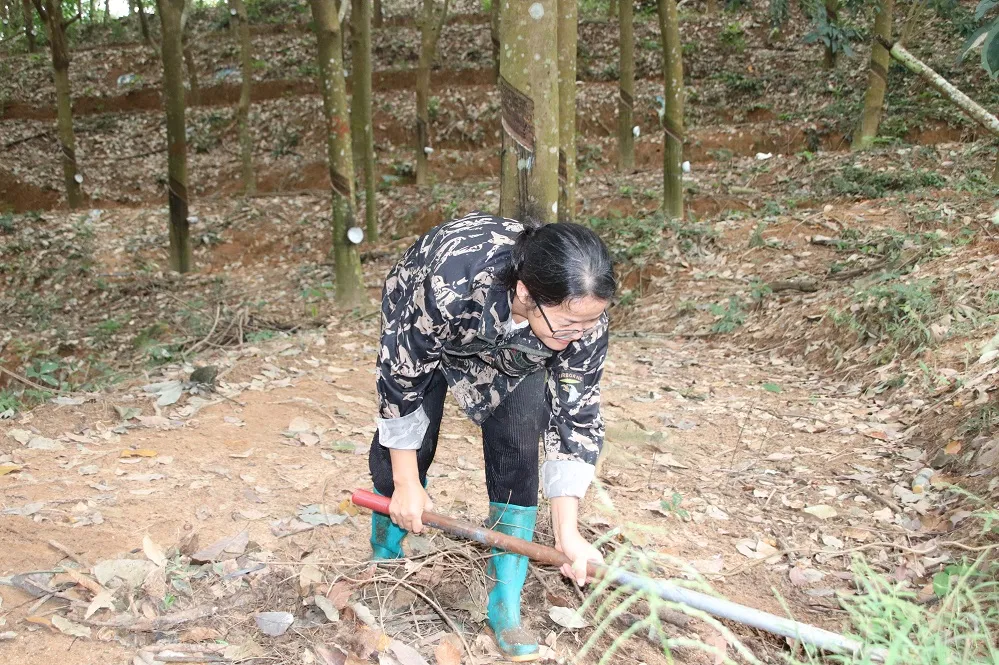 1735781870039076696.jpg 1735781870039076696.jpg