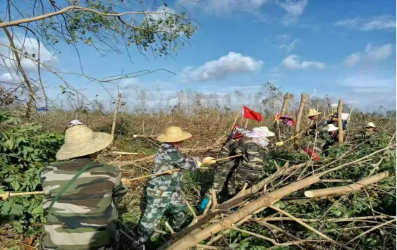 1736730551633074710.jpg 1736730551633074710.jpg