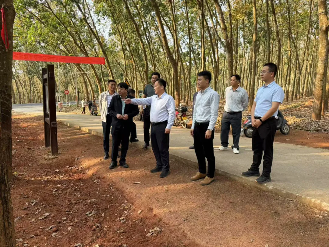 蔡克洪赴海南橡膠西部片區(qū)基地分公司調(diào)研